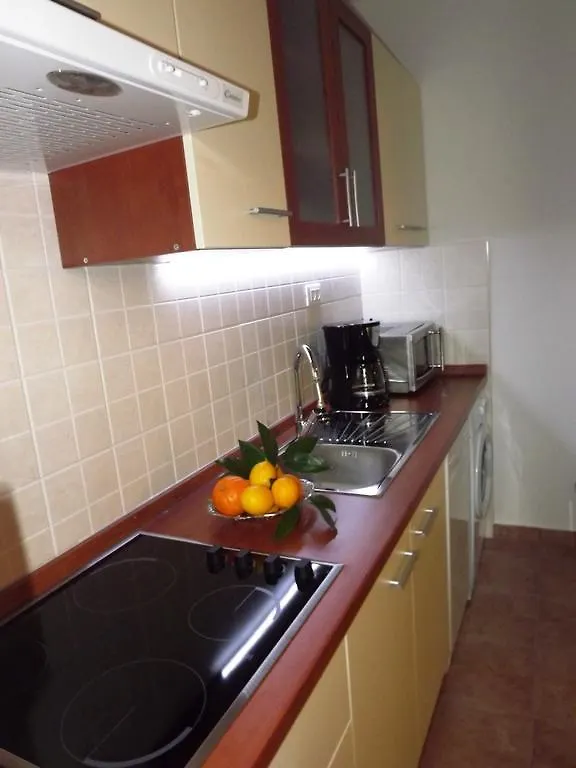 Apartment Biocic